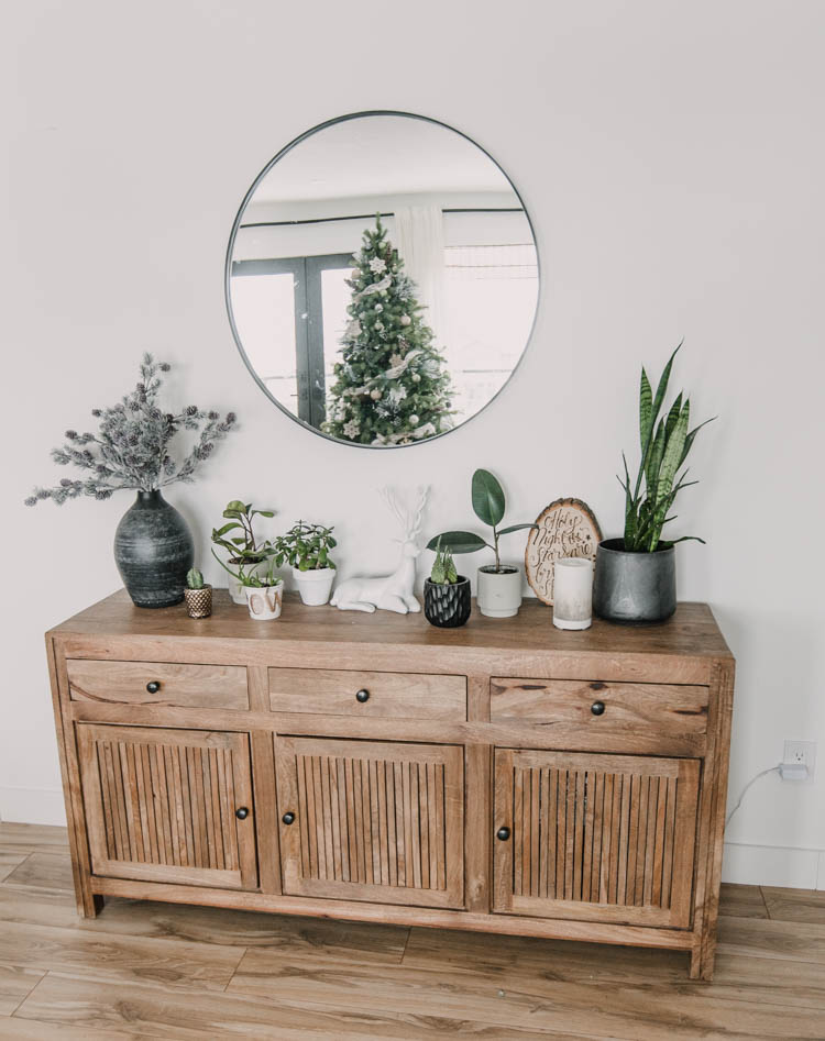 Living room console full of plants for the holidays!