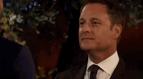 chris harrison gif