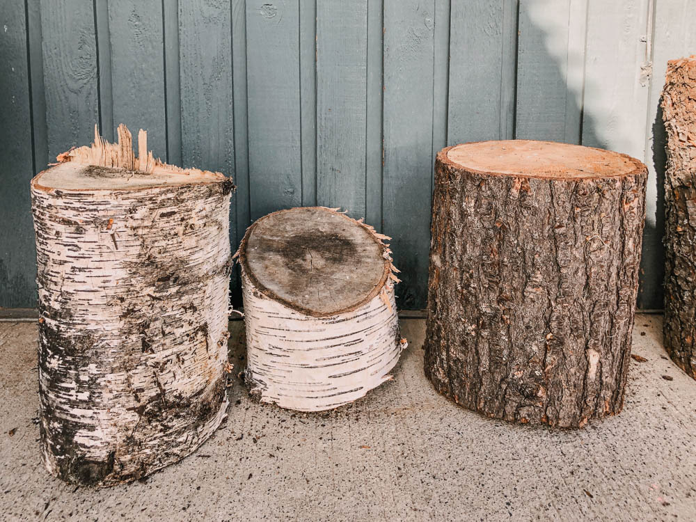 stumps to test making tree ring art prints
