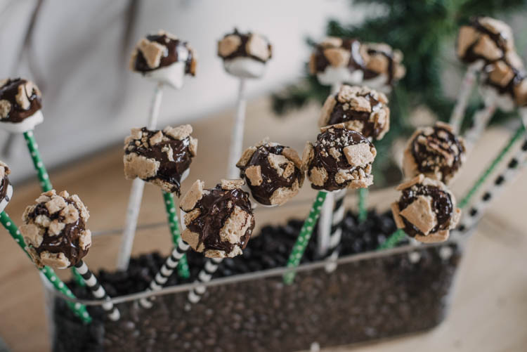S'more marshmallow pops for a rustic birthday party