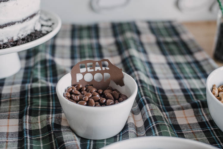 Bear Poop for a boys rustic birthday party