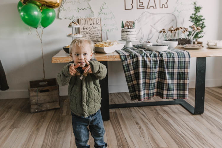 two year old bear themed birthday party 
