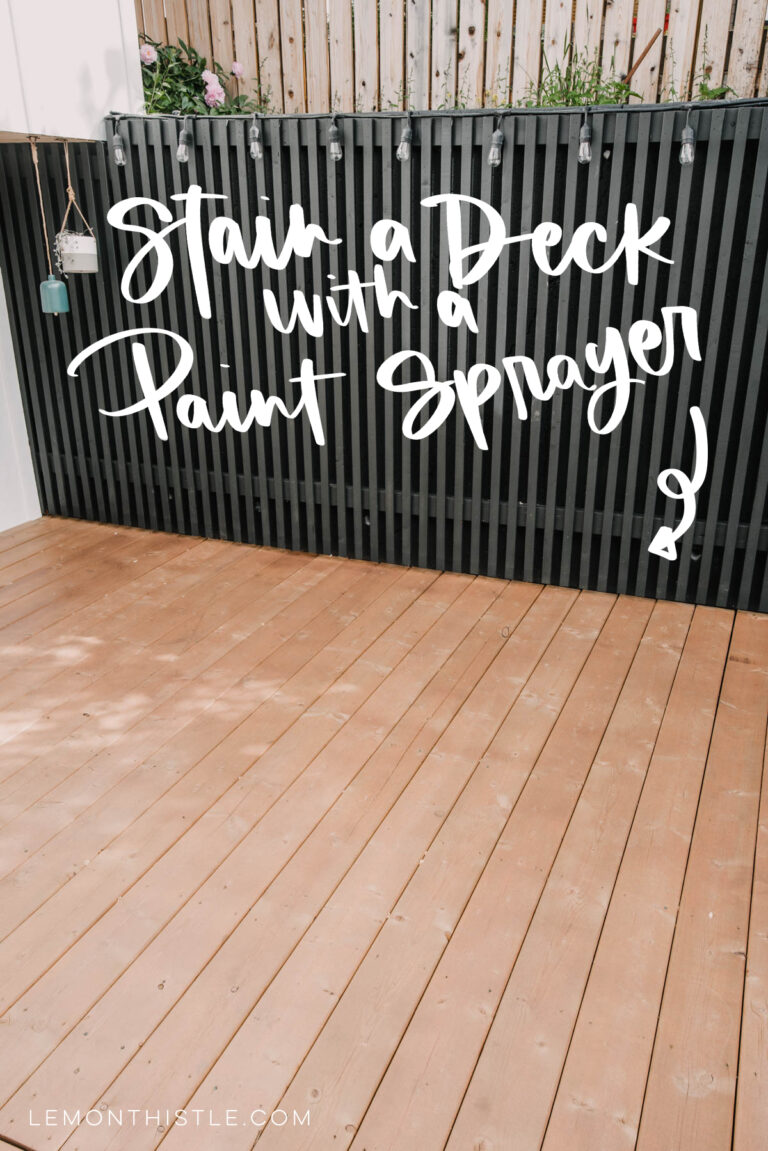 Can You Use Stain with a Paint Sprayer? Lemon Thistle