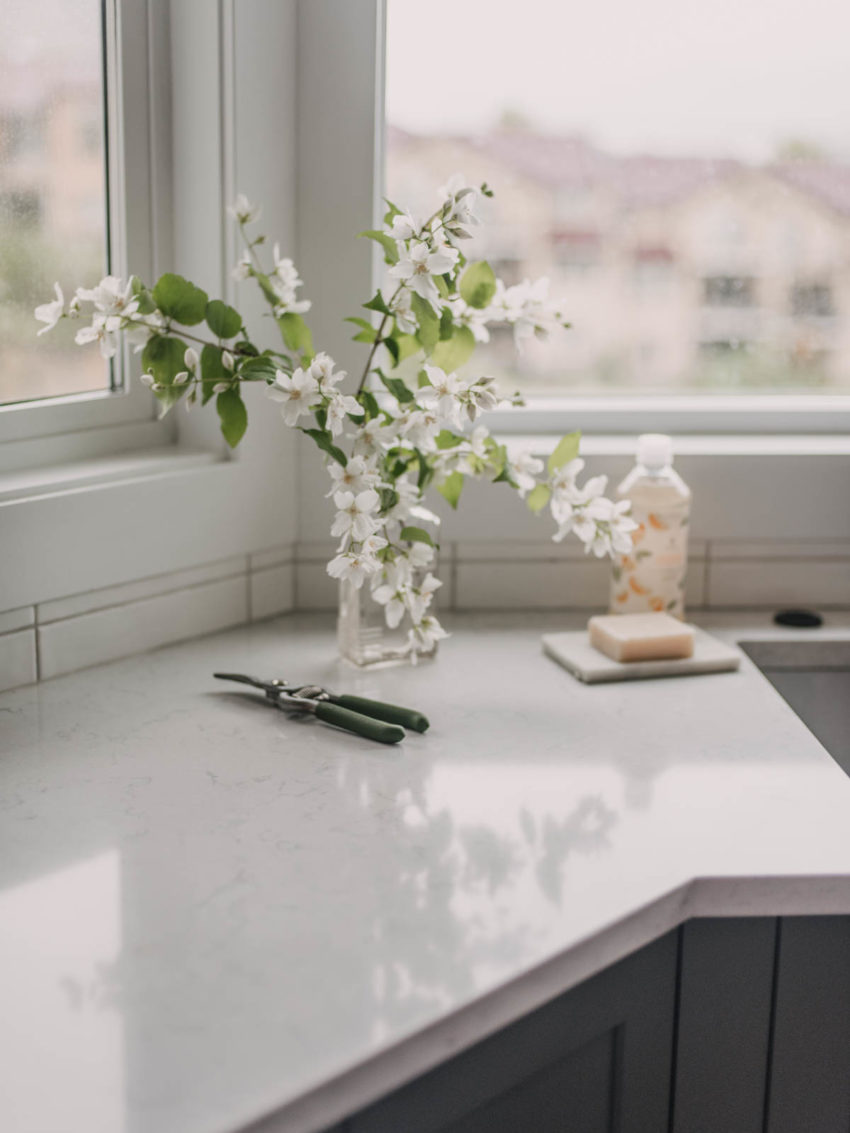 Fresh cuts for summer decor