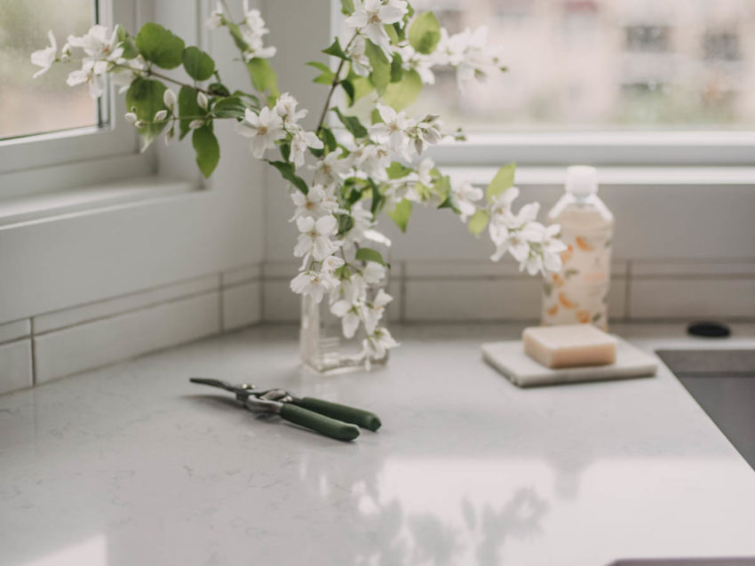 Fresh cuts for summer decor
