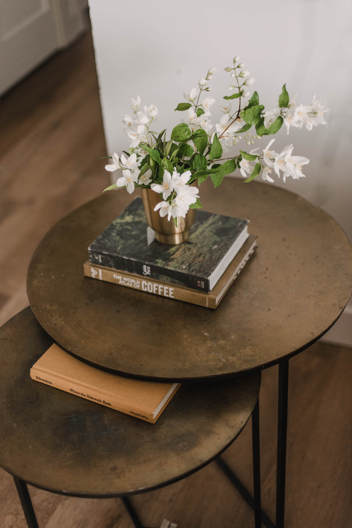 Fresh Cut Branches for Decor