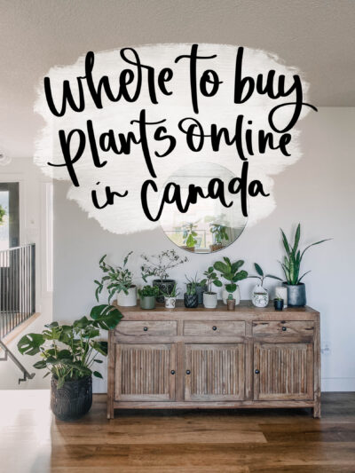 Where to buy plants online in canada