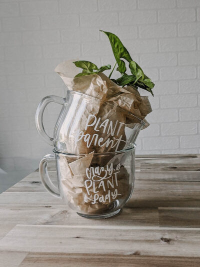 plant mugs