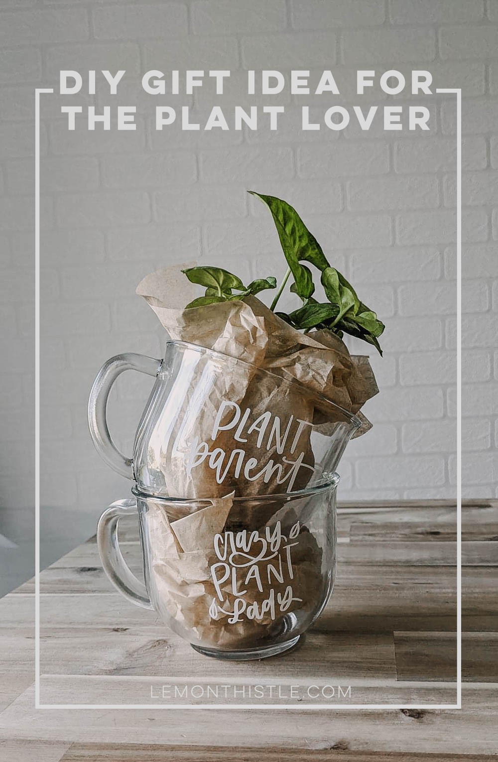 DIY Plant Mugs