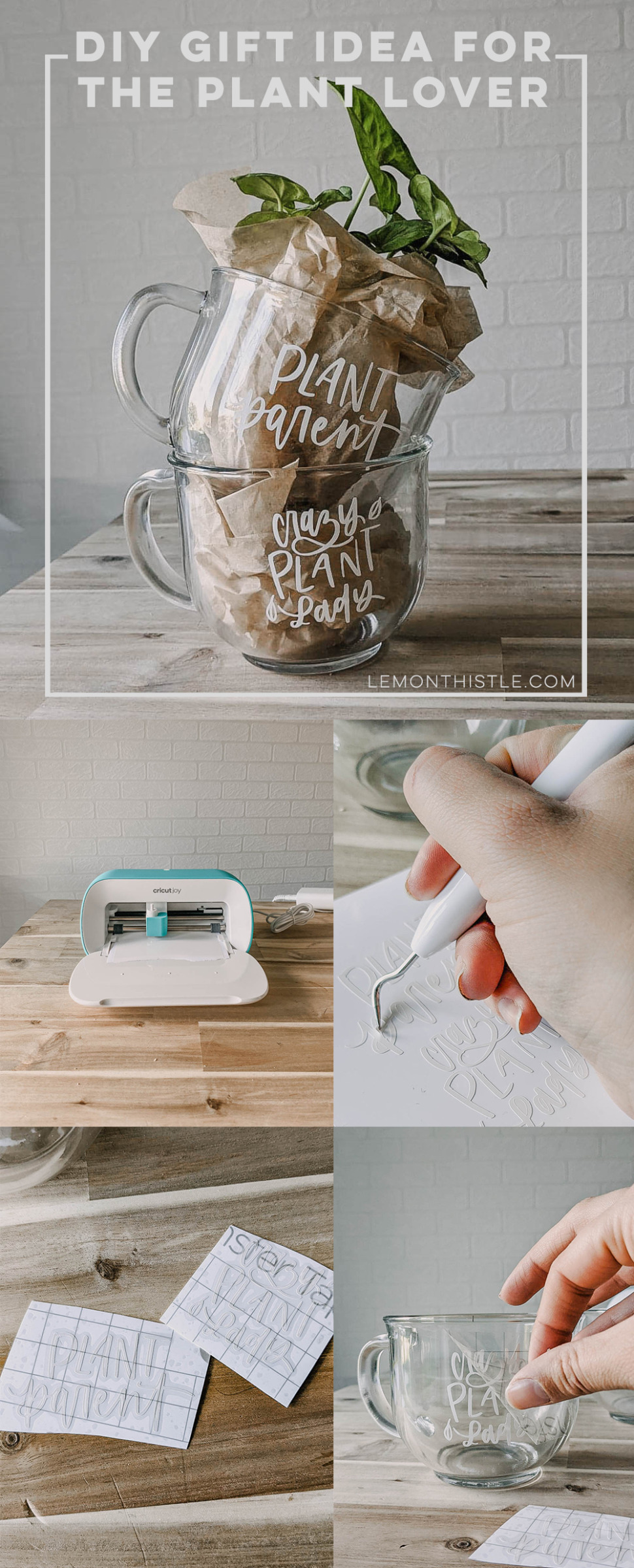 Great gift idea for a plant lover! Cheeky plant mugs with a tiny plant inside! Free downloadable templates