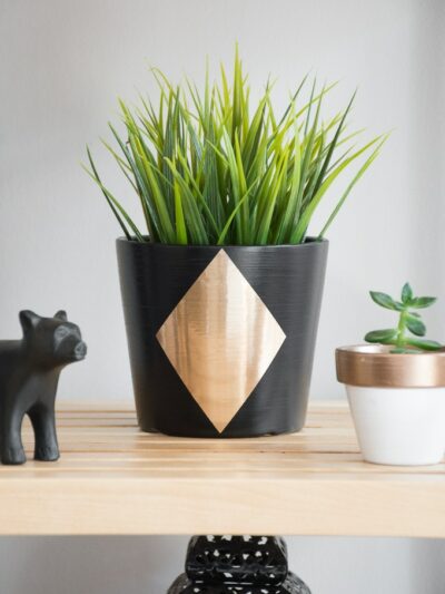 DIY Plant Pot Upgrade