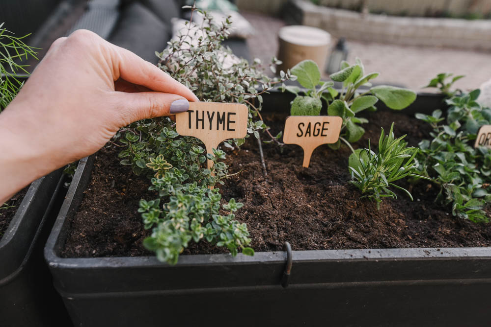 Herb Garden Plant Markers DIY