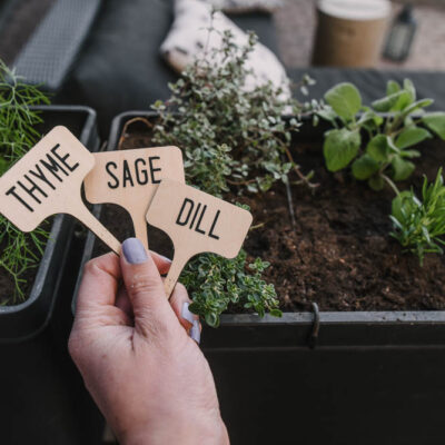 DIY Bamboo Plant Markers