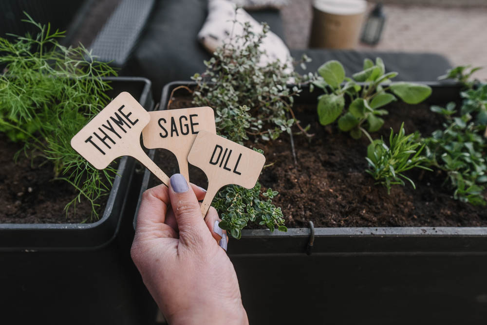 DIY Bamboo Plant Markers