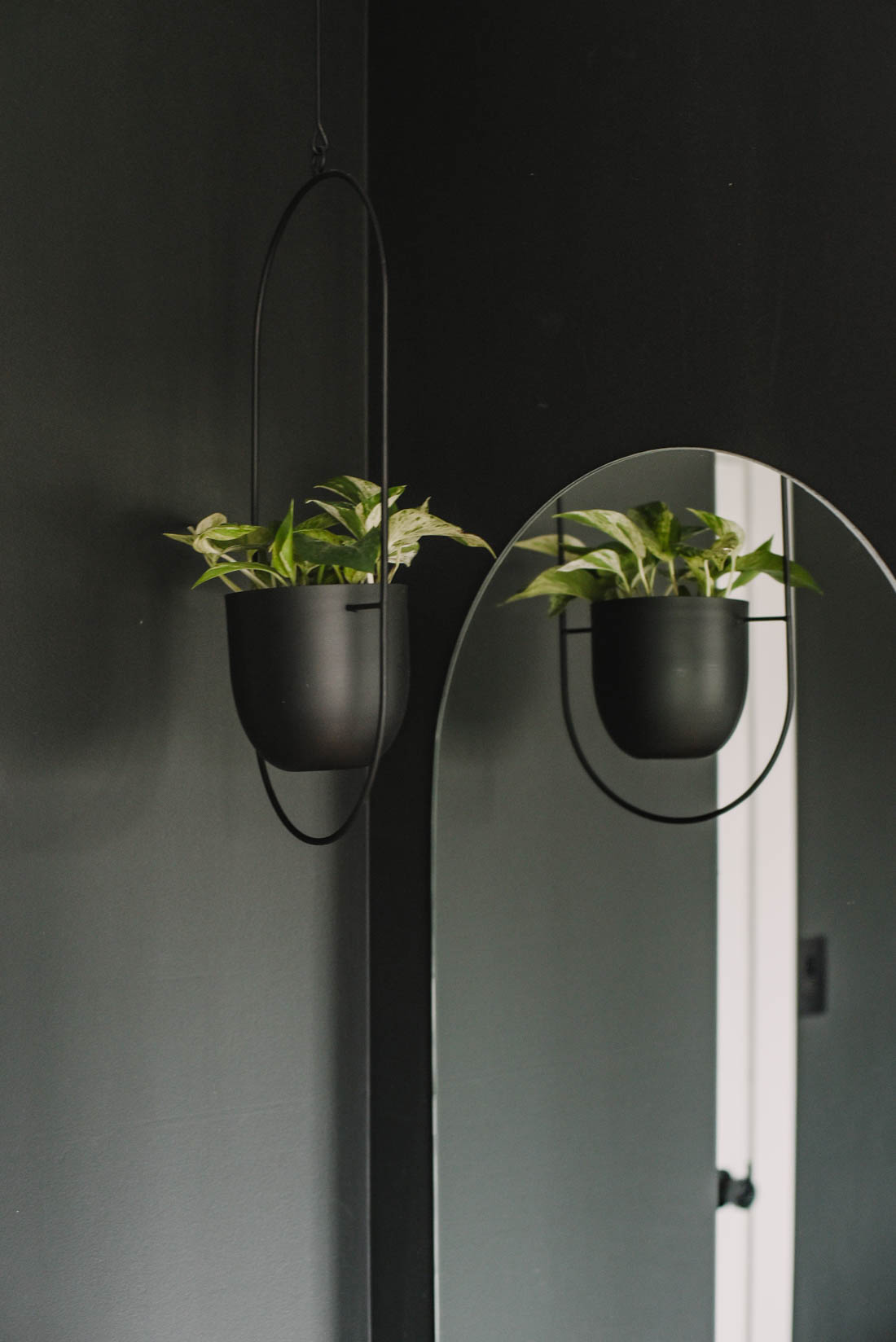 Modern Pill shaped mirror with hanging plant