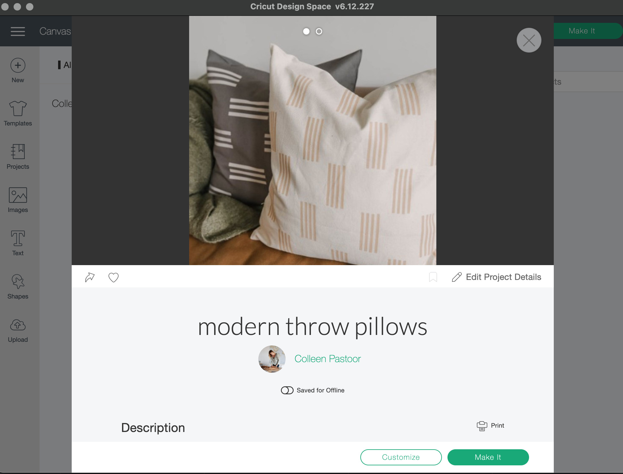 Make these pillows with your Cricut!