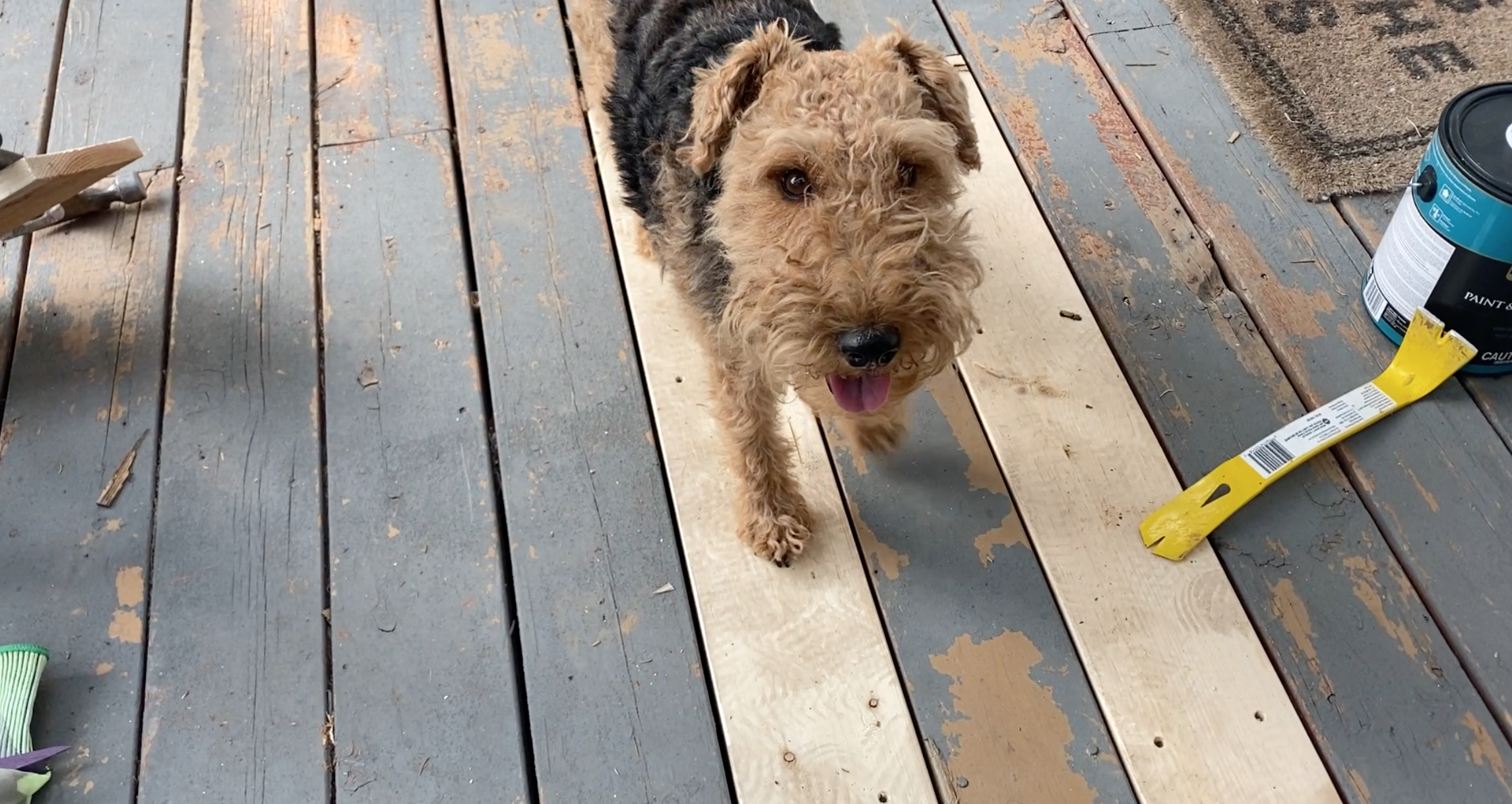 Repairing Damaged Deck Boards