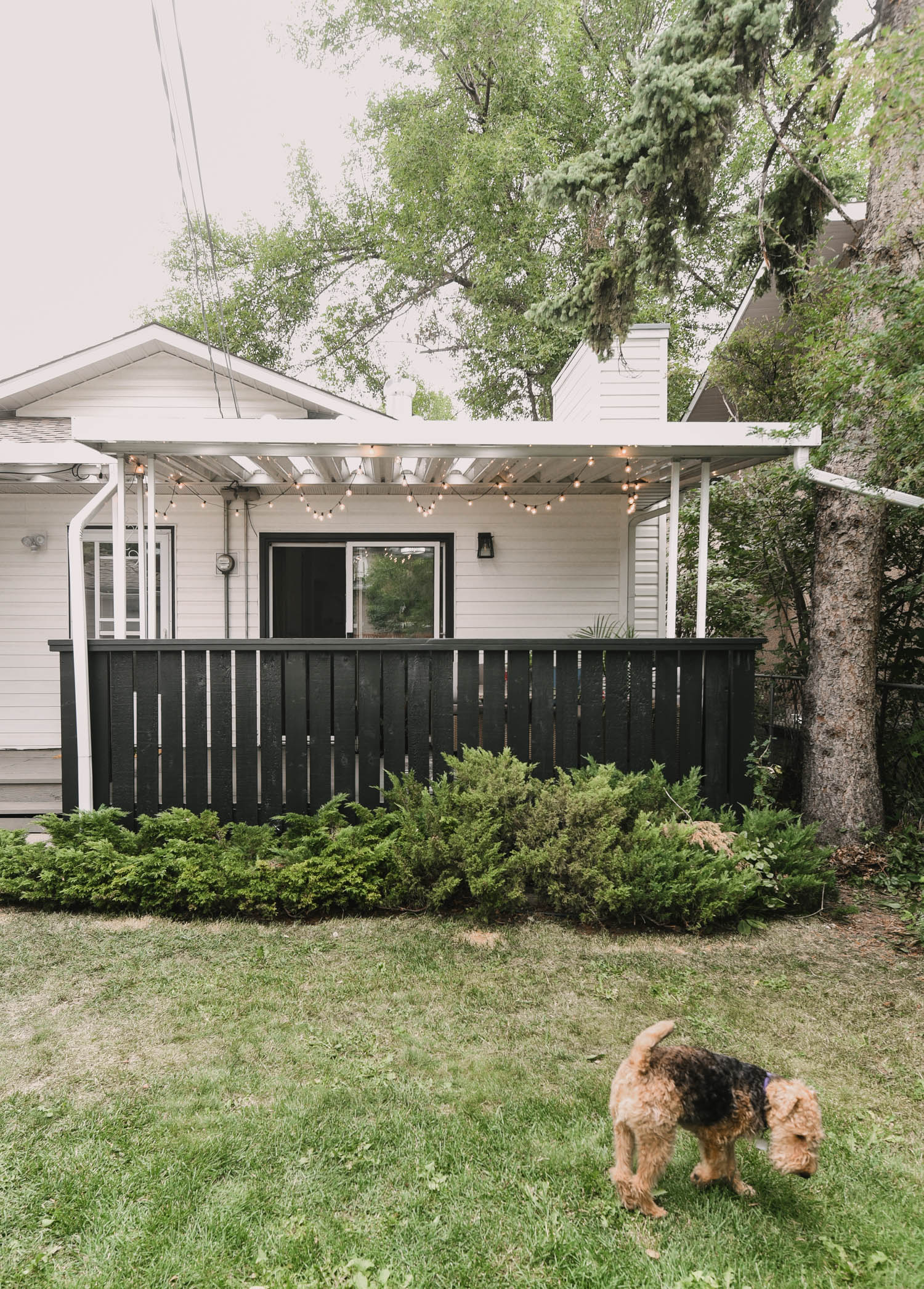 Old Wooden Patio Makeover