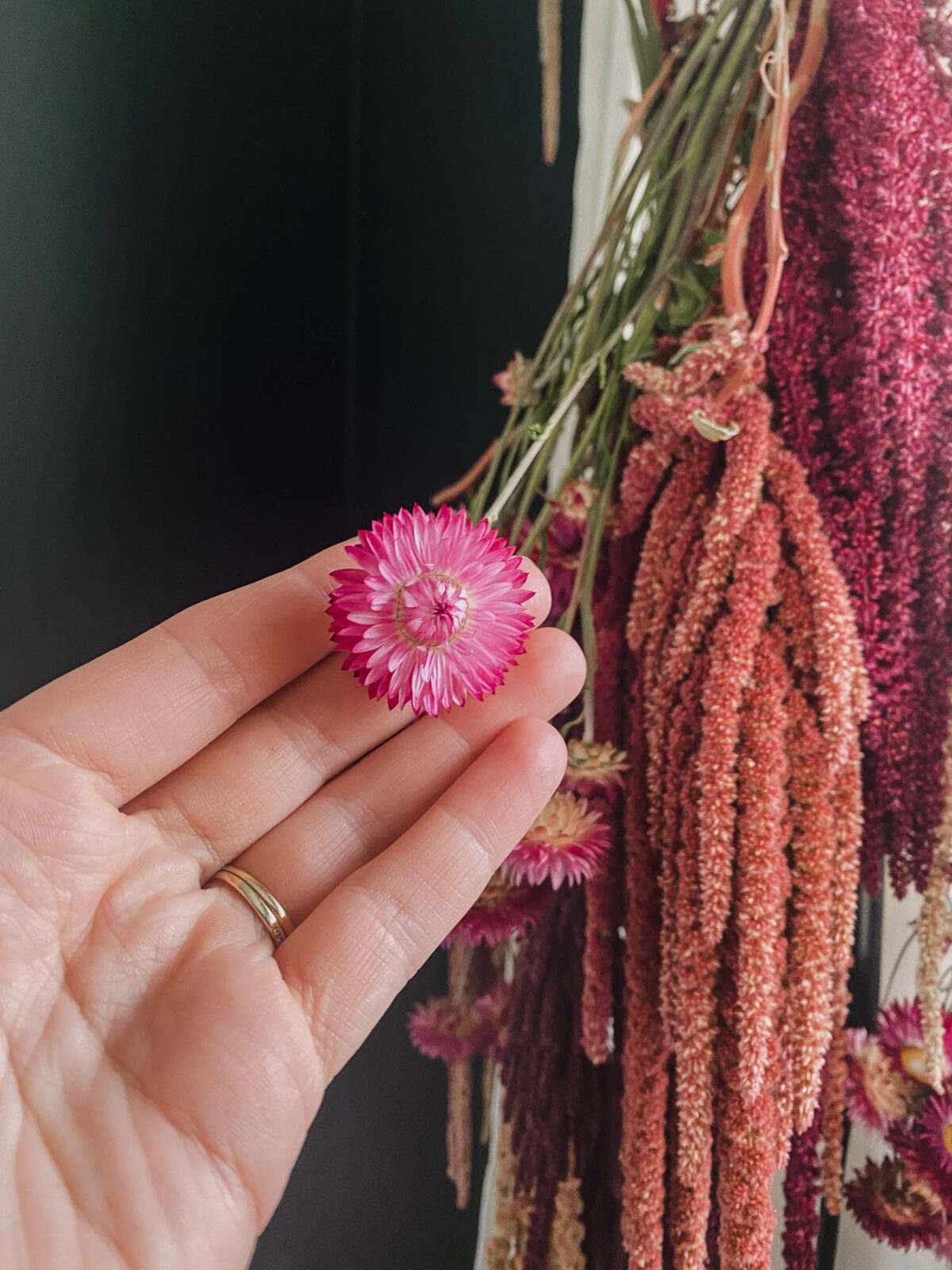 Dried Flowers for Fall Lemon Thistle