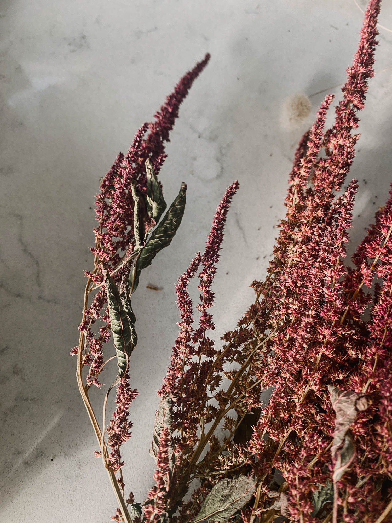 Remove leaves before drying cut flowers