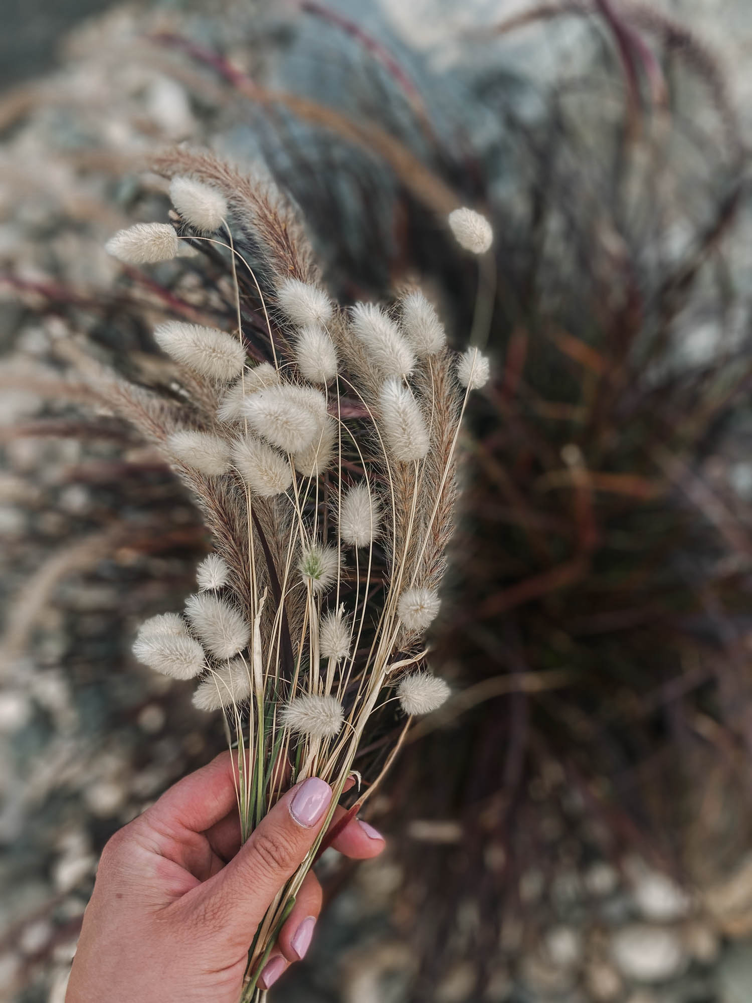 How to dry cut flowers and grasses for fall decor