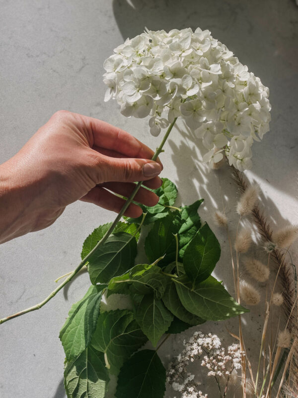 Dried Flowers for Fall Lemon Thistle
