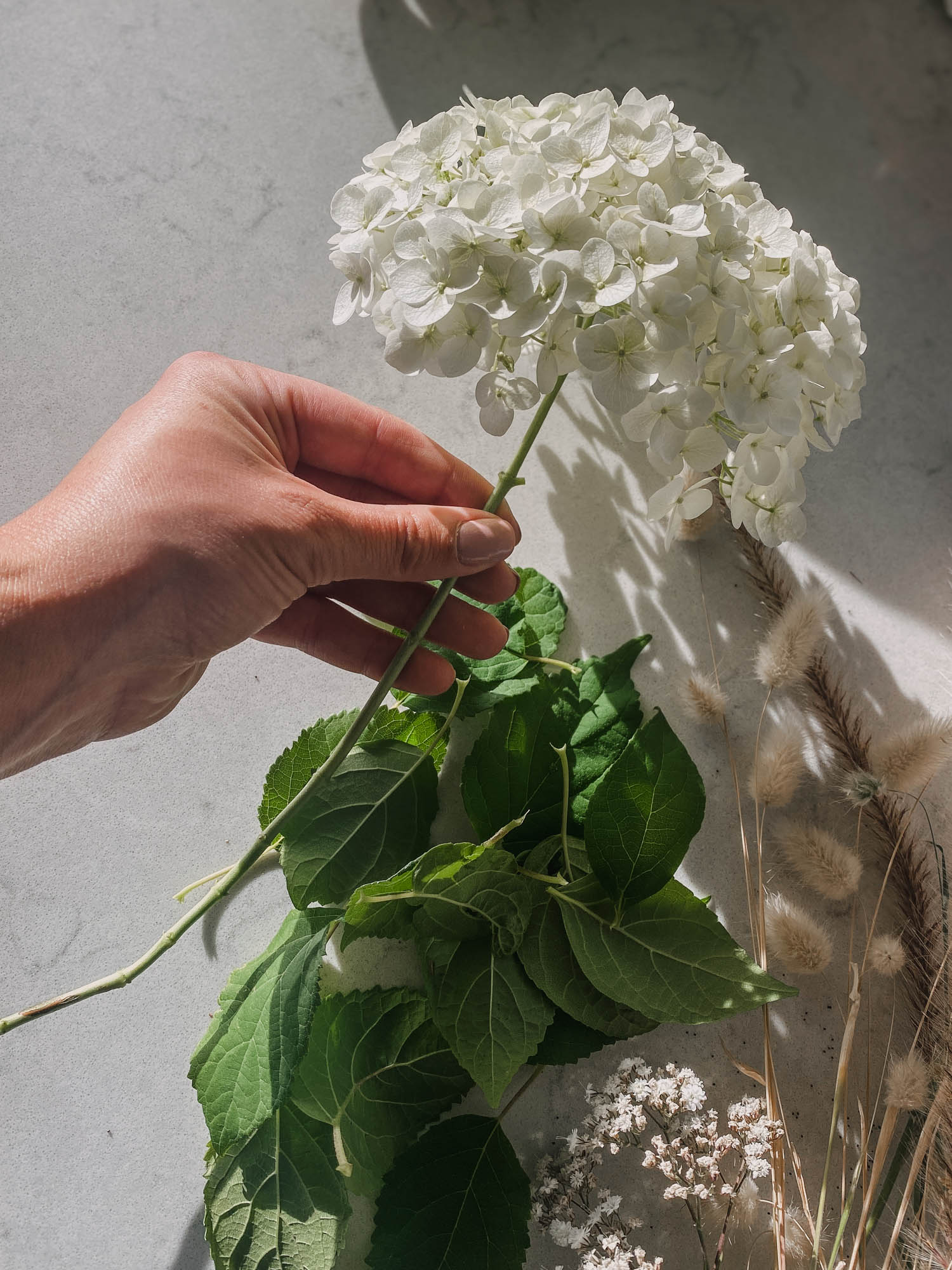 Remove leaves before drying cut flowers