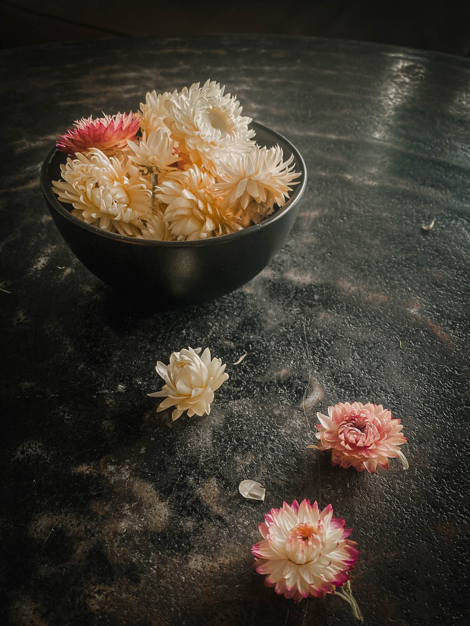 dried strawflowers in a bowl