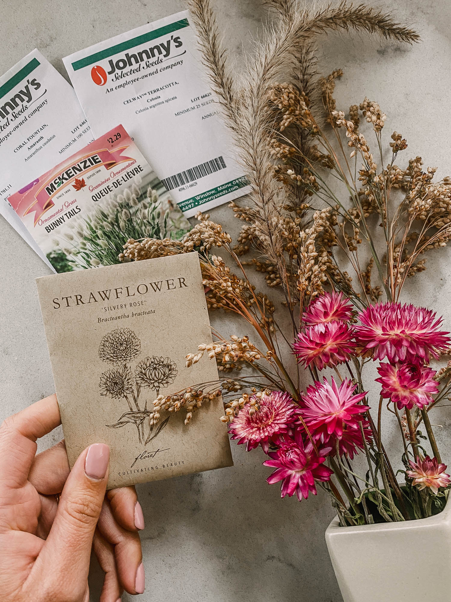 cut flower seeds that make great dried flowers