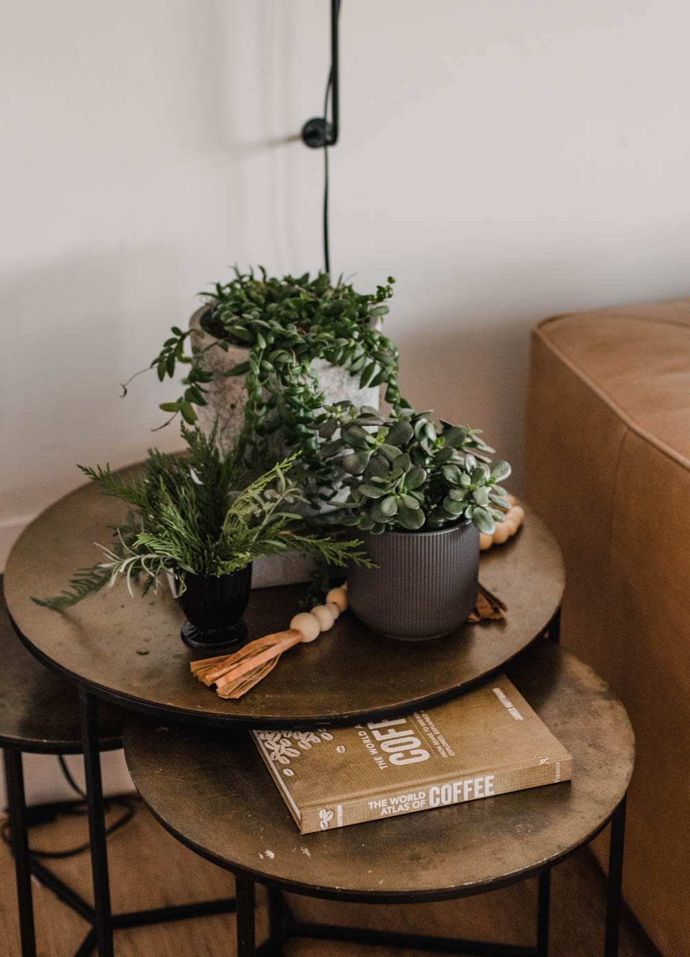 Plants with Christmas decor