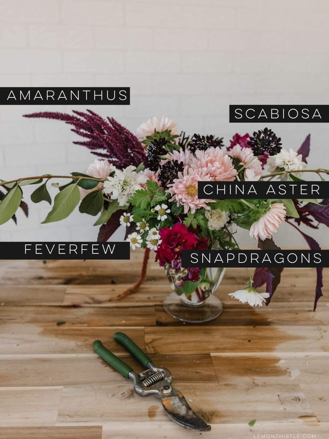 The Best Cut Flowers and Fillers to Grow for Backyard Gardeners Lemon