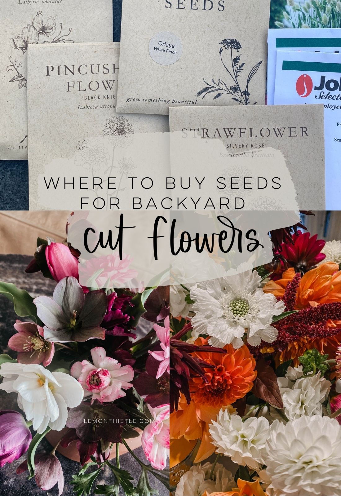 Where to buy seeds and bulbs for backyard cut flowers