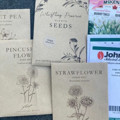 The best cut flowers to grow from seed for beginners