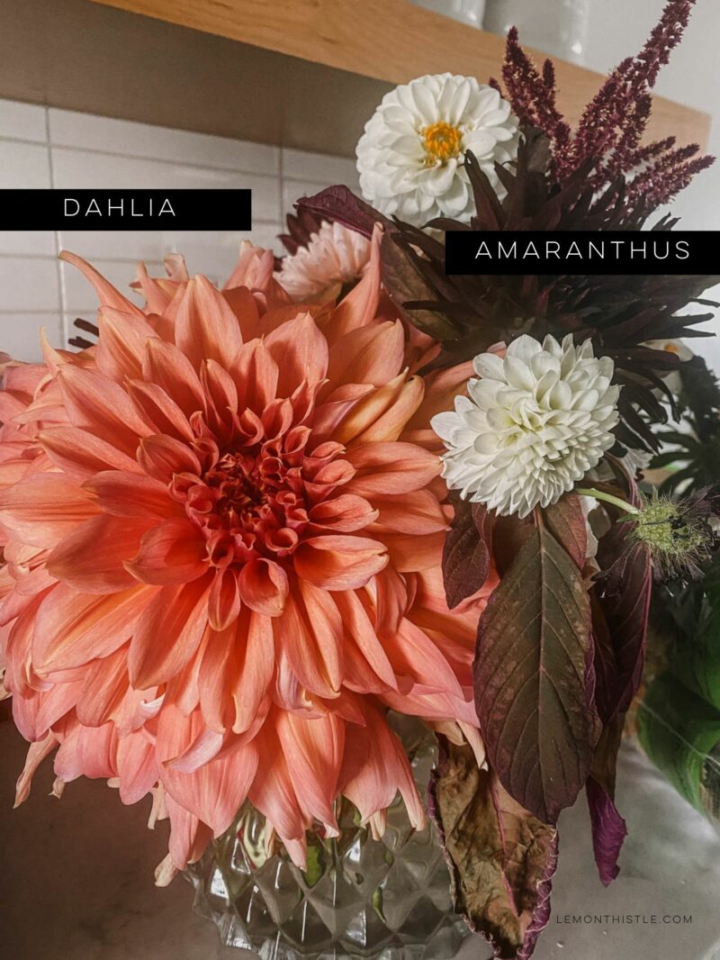 The Best Cut Flowers and Fillers to Grow for Backyard Gardeners Lemon