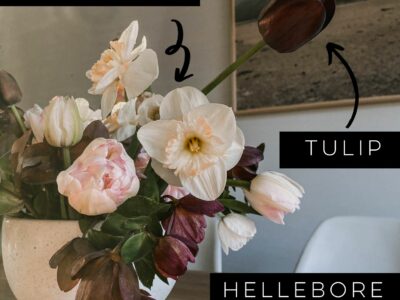 The best cut flowers for your home garden