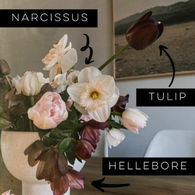 The best cut flowers for your home garden