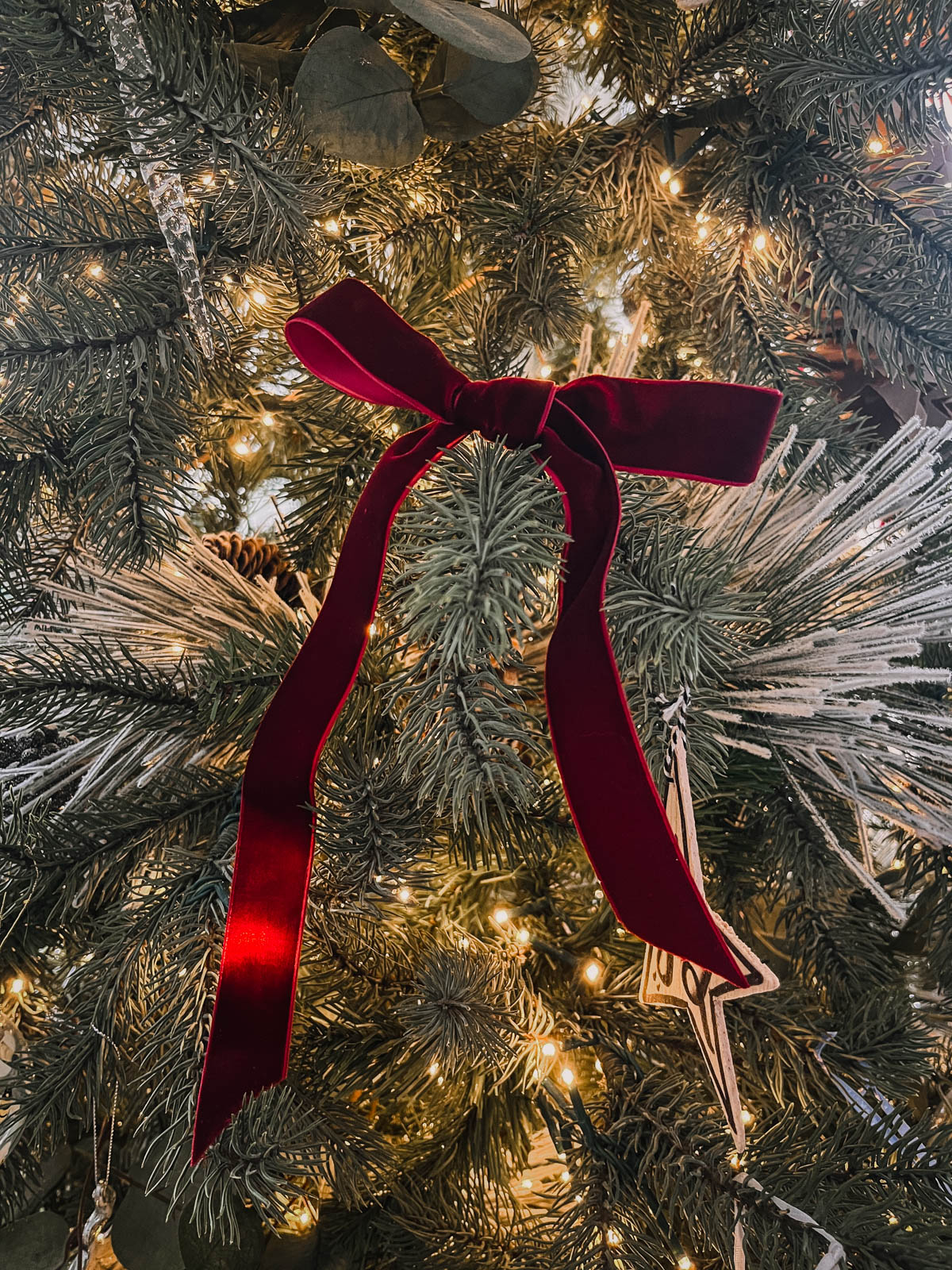 velvet Ribbon tied on tree as an ornament