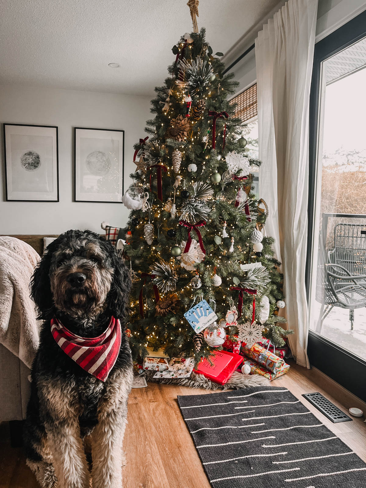 13 DIY Christmas ornaments to try- image of dog sitting beside christmas tree