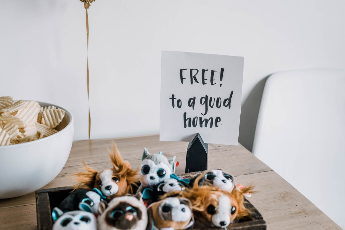 tiny stuffed animals with 'free to a good home' sign