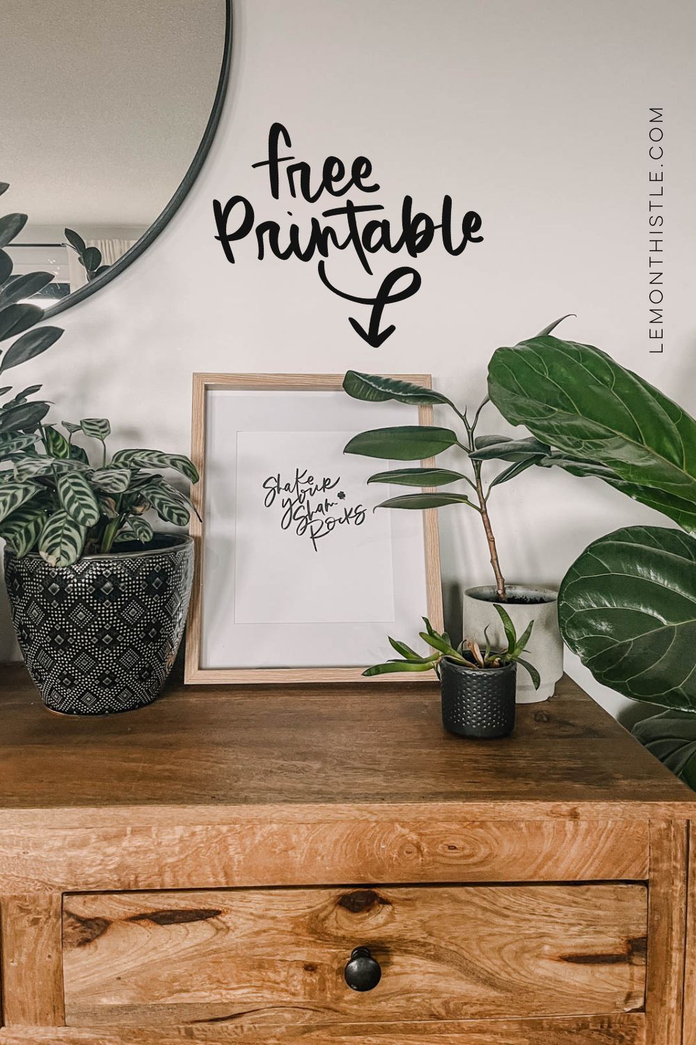shake your shamrocks hand lettered art framed and surrounded by plants, text over reads 'free printable'