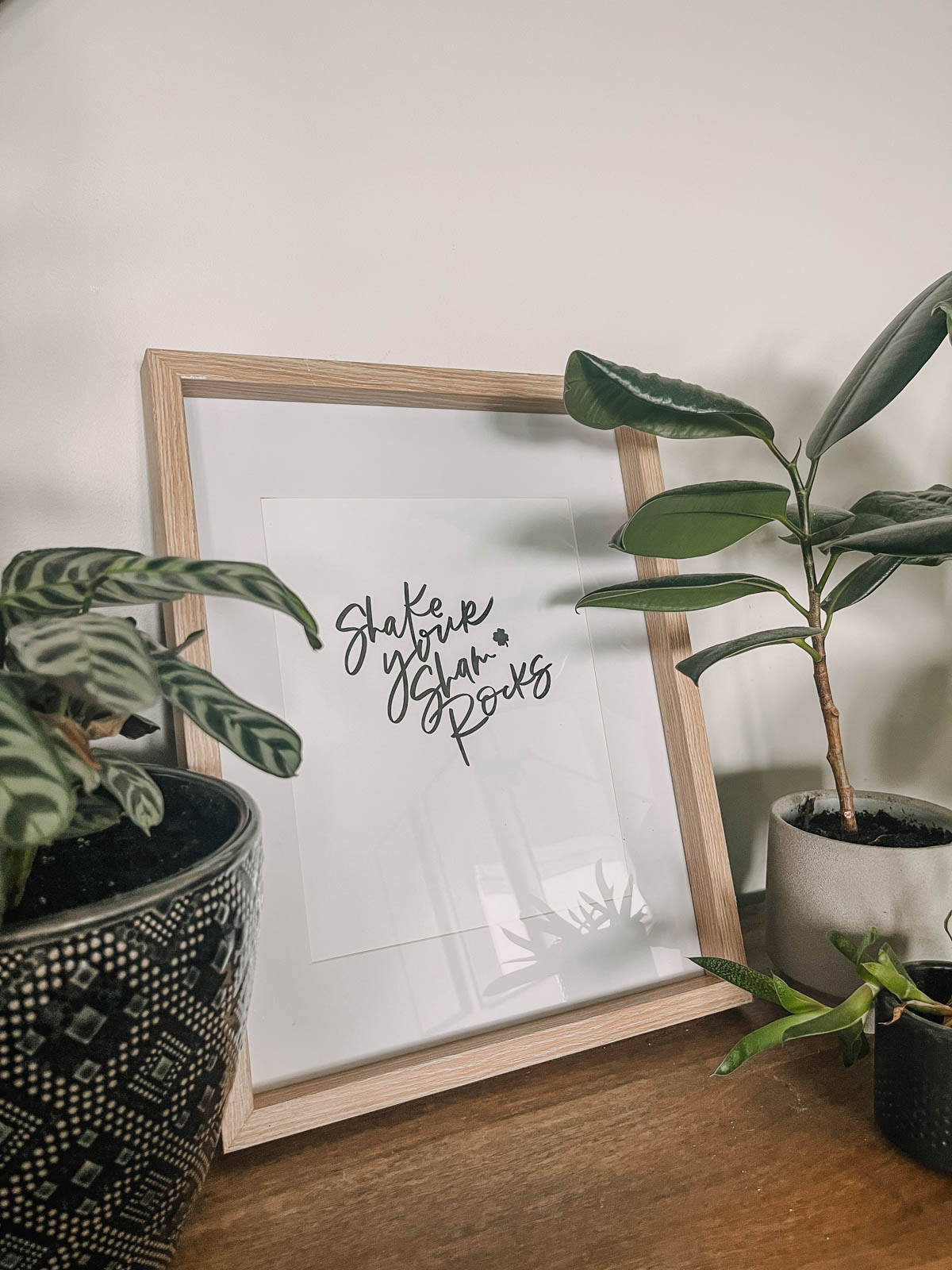 shake your sham rocks hand lettered printable framed surrounded by plants