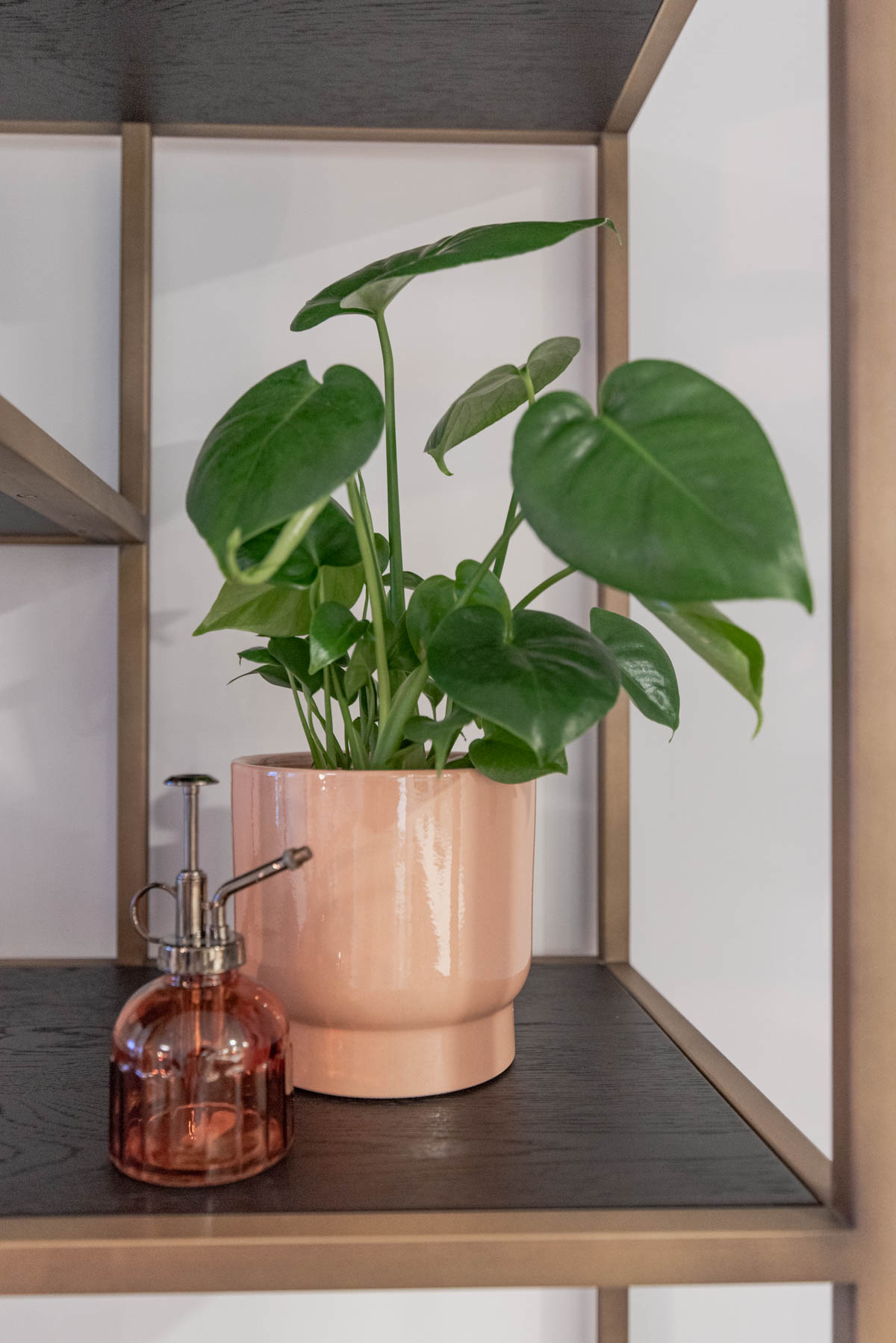 Add Plants for spring decor