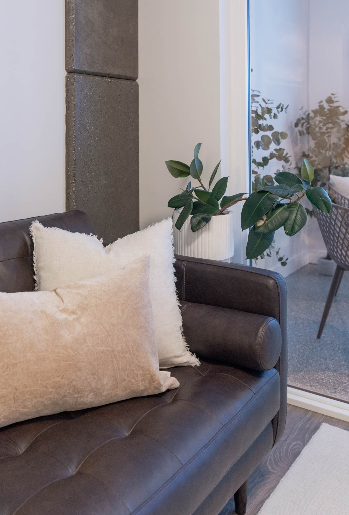 Adding plants to home decor for spring