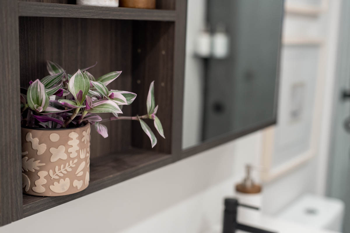 Adding plants to home decor for spring