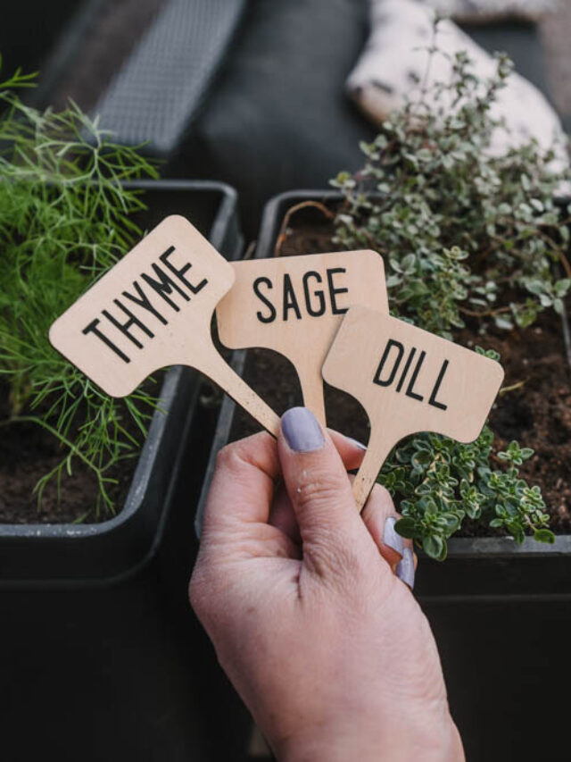 DIY Wooden Plant Markers