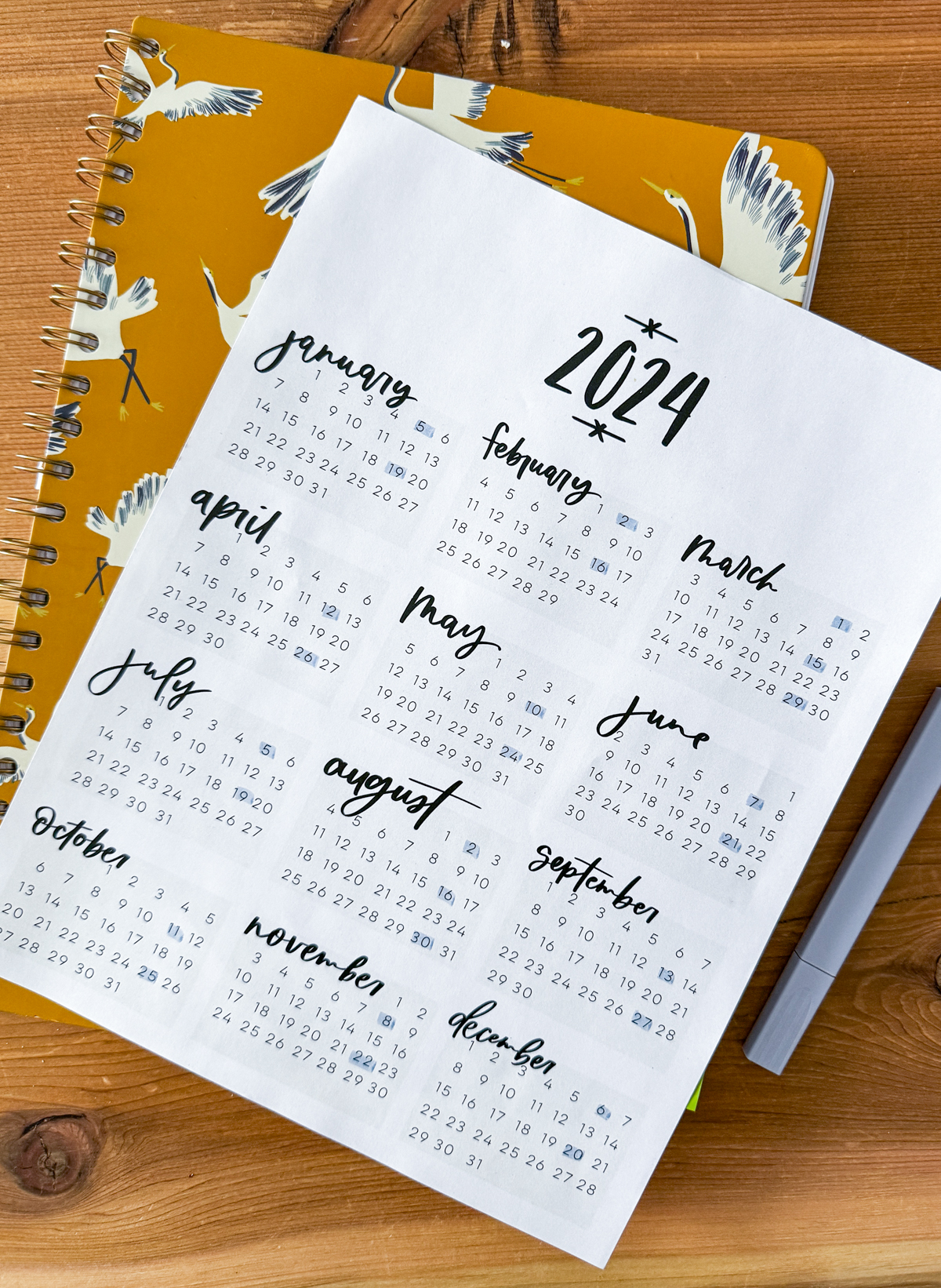 year at a glance calendar with every other friday highlighted for payday payroll tracking