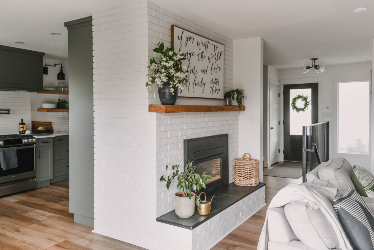 Plants that will grow tall for your home decor- a guide (image shows a ficus benjamina on hearth in a small size)