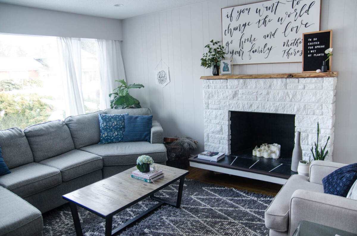 Photo shows fiddle leaf fig tucked behind sofa- this is the before of the same plant in the next photo