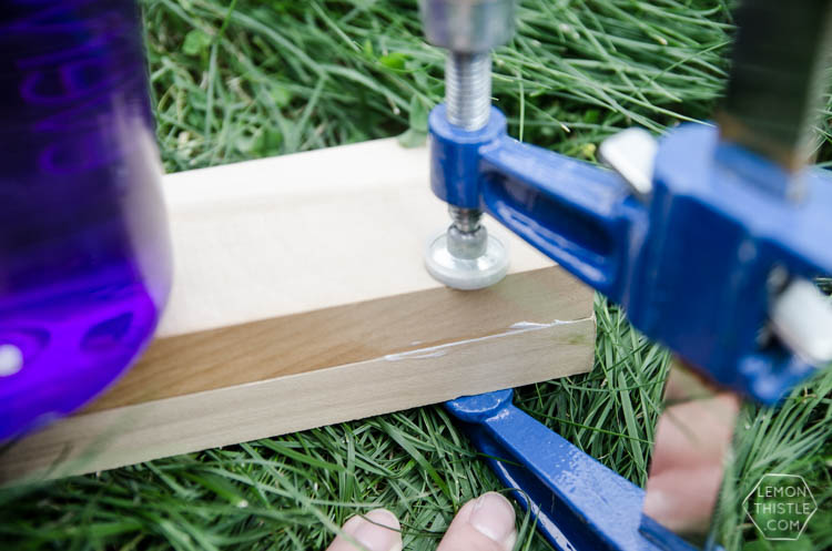 image shows two pieces of hard wood being glued together using a wood clamp image in a blog post about choosing wood for diy projects