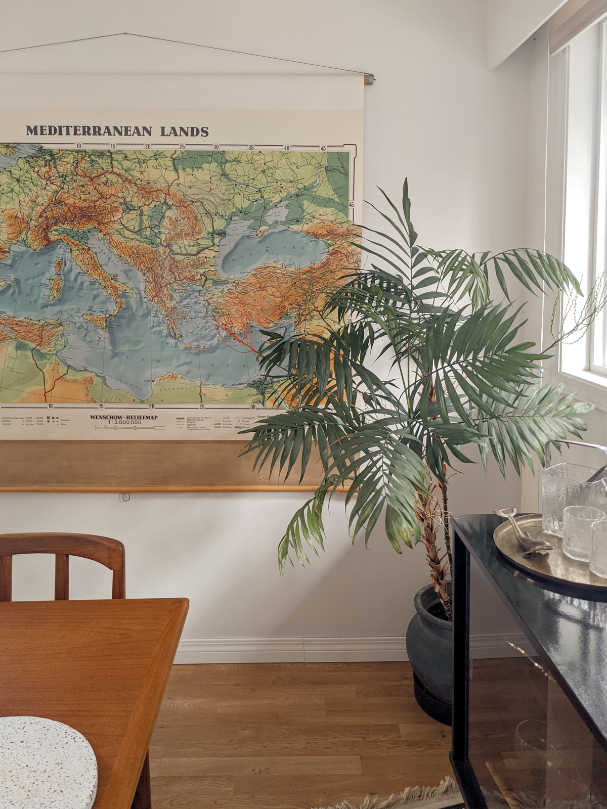 palm in dining room next to a map